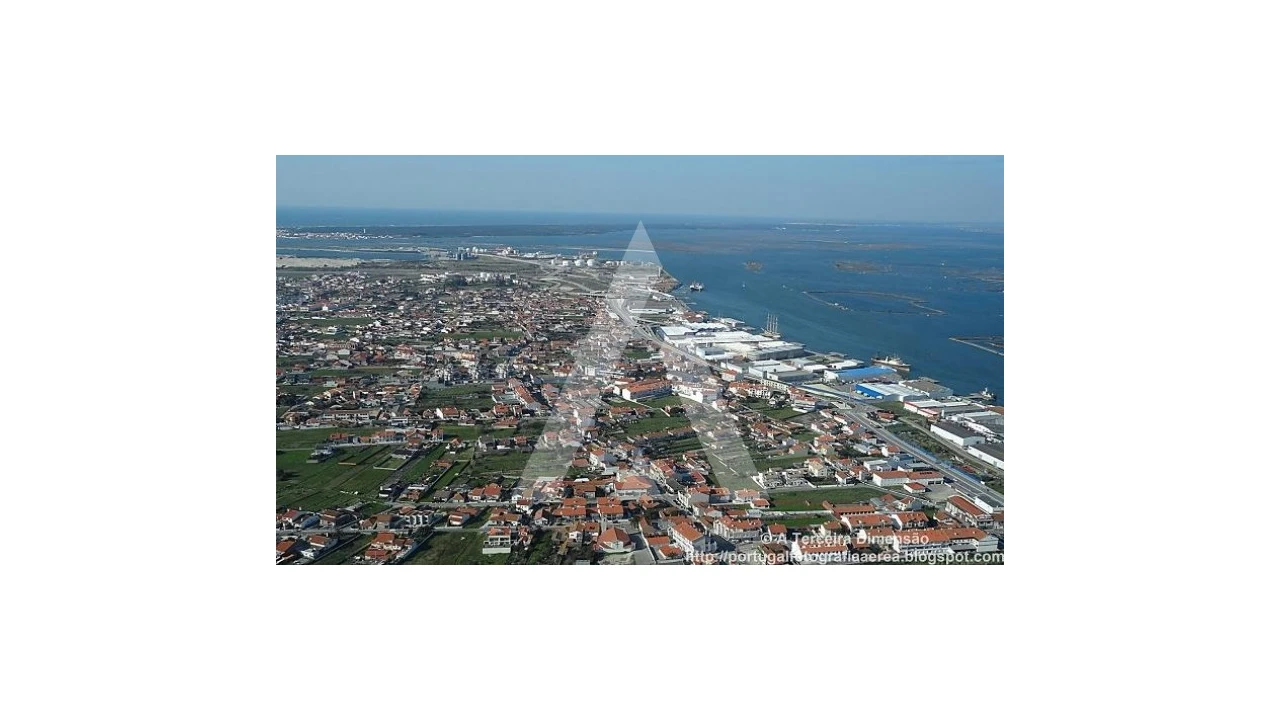 Terreno para Venda em Soza Foto 6