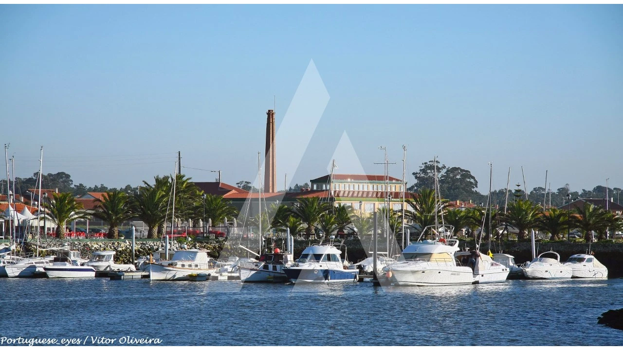 Terreno para Venda em Soza Foto 8