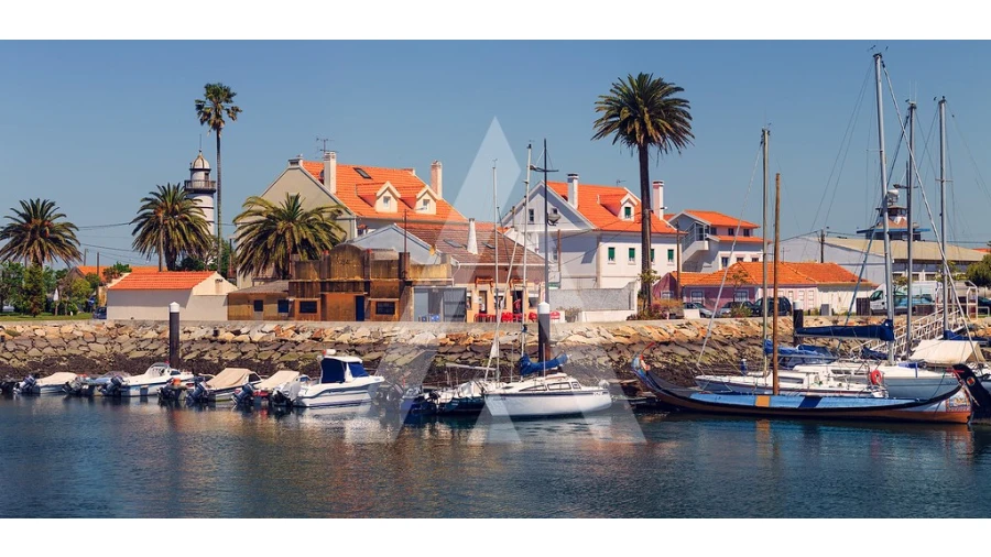 Terreno para Venda em Soza Foto 4