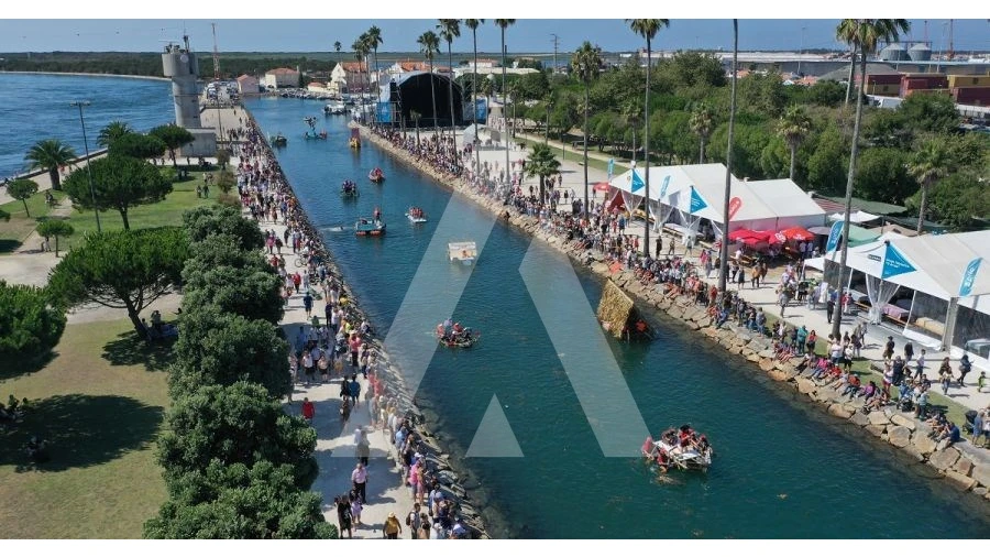Terreno para Venda em Soza Foto 17