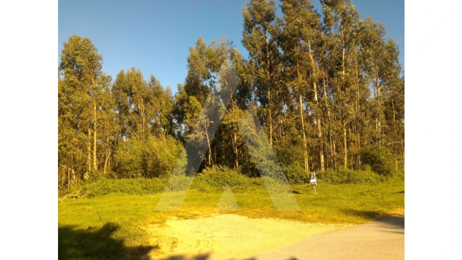 Terreno para Venda em Angeja