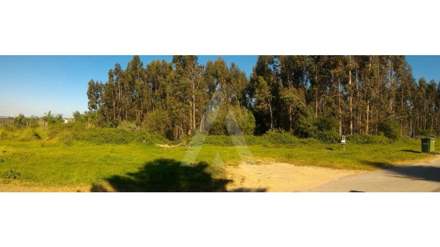 Terreno para Venda em Angeja Foto 2