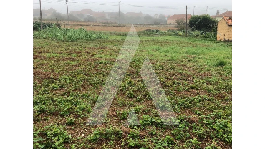 Terreno para Venda em Amoreira da Gândara, Paredes do Bairro e Ancas Foto 1