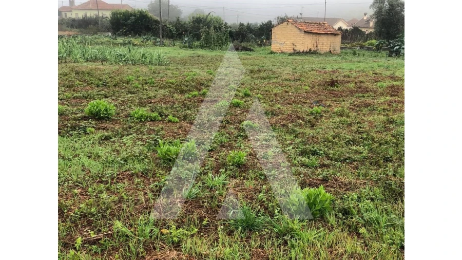 Terreno para Venda em Amoreira da Gândara, Paredes do Bairro e Ancas Foto 2