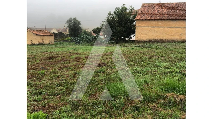 Terreno para Venda em Amoreira da Gândara, Paredes do Bairro e Ancas Foto 3