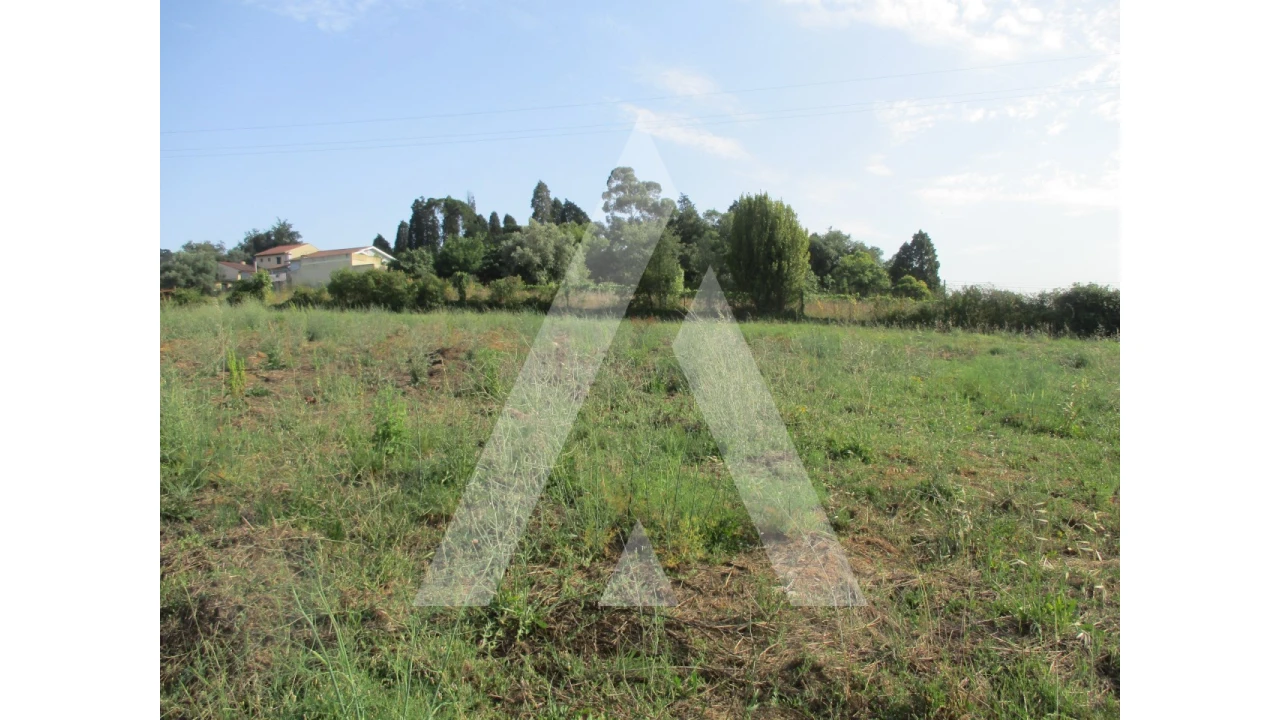 Terreno para Venda em Arcos e Mogofores Foto 3