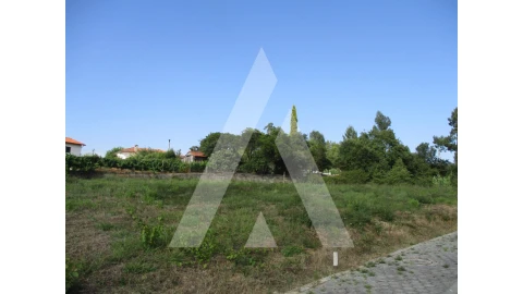 Terreno para Venda em Arcos e Mogofores
