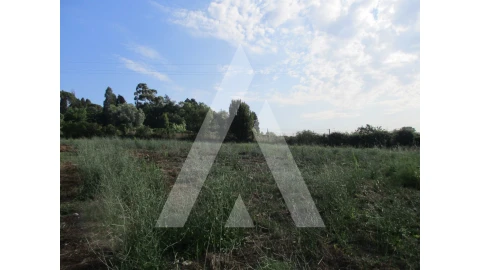 Terreno para Venda em Arcos e Mogofores