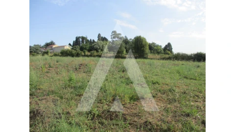 Terreno para Venda em Arcos e Mogofores