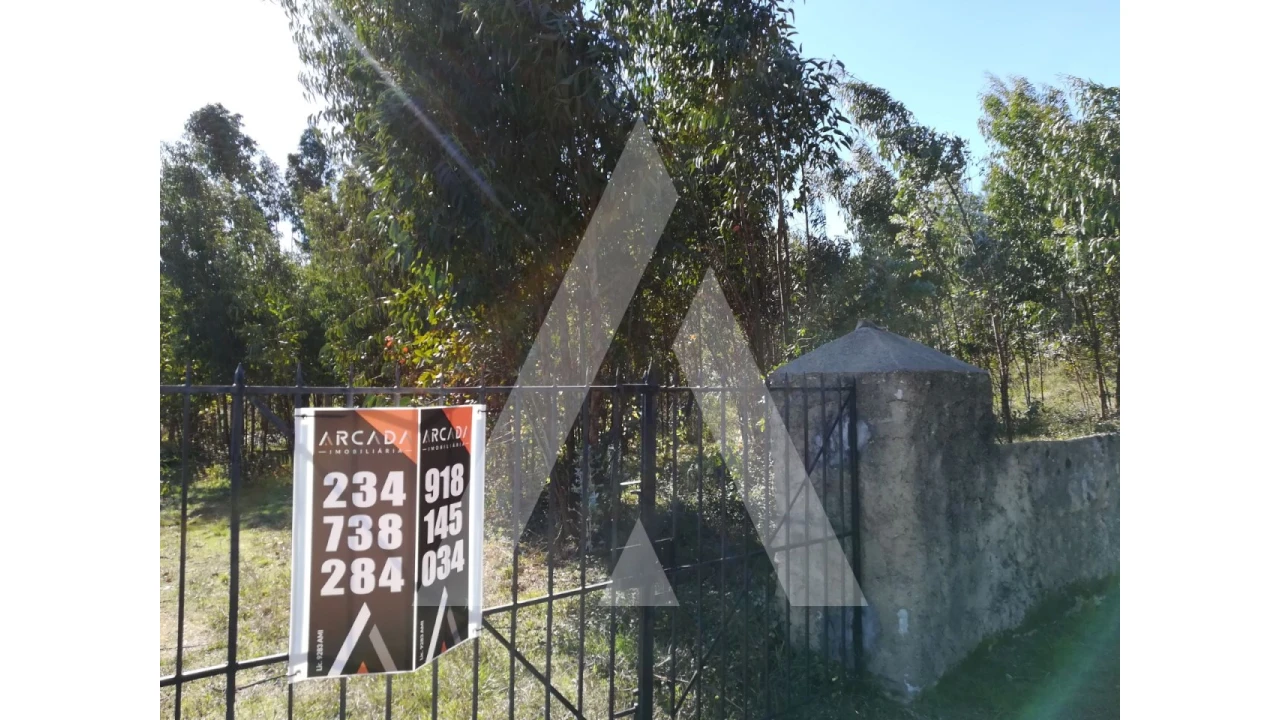 Terreno para Venda em Tamengos, Aguim e Óis do Bairro Foto 3