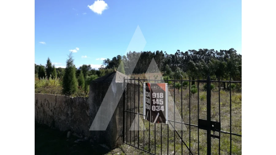 Terreno para Venda em Tamengos, Aguim e Óis do Bairro Foto 2