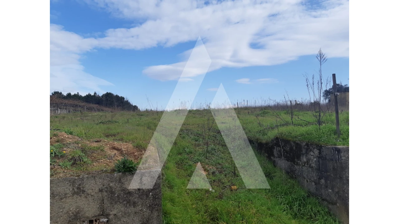 Terreno para Venda em São Lourenço do Bairro Foto 6
