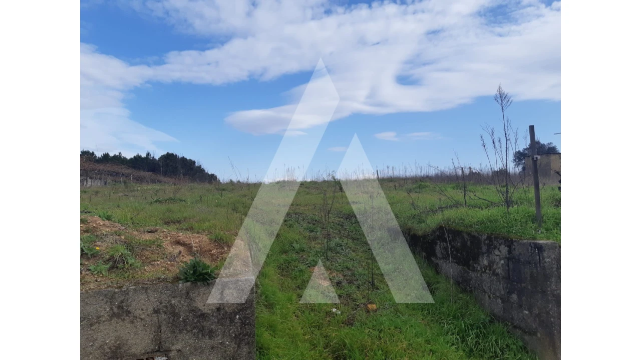 Terreno para Venda em São Lourenço do Bairro Foto 7