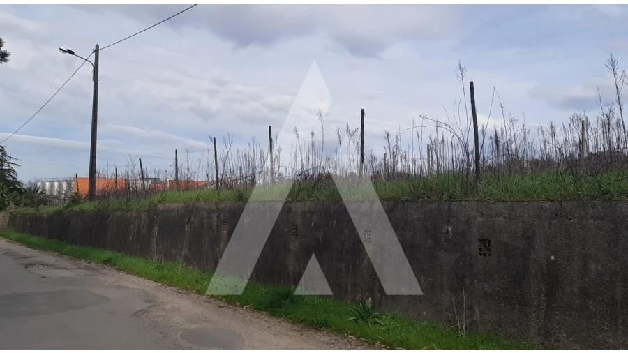 Terreno para Venda em São Lourenço do Bairro Foto 2