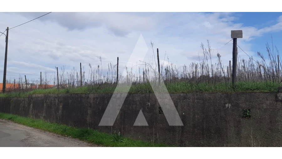 Terreno para Venda em São Lourenço do Bairro Foto 3