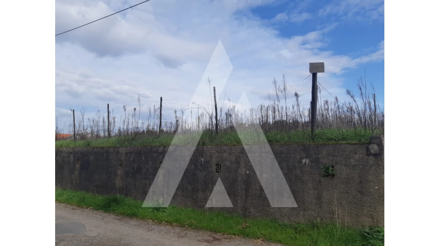 Terreno para Venda em São Lourenço do Bairro Foto 4