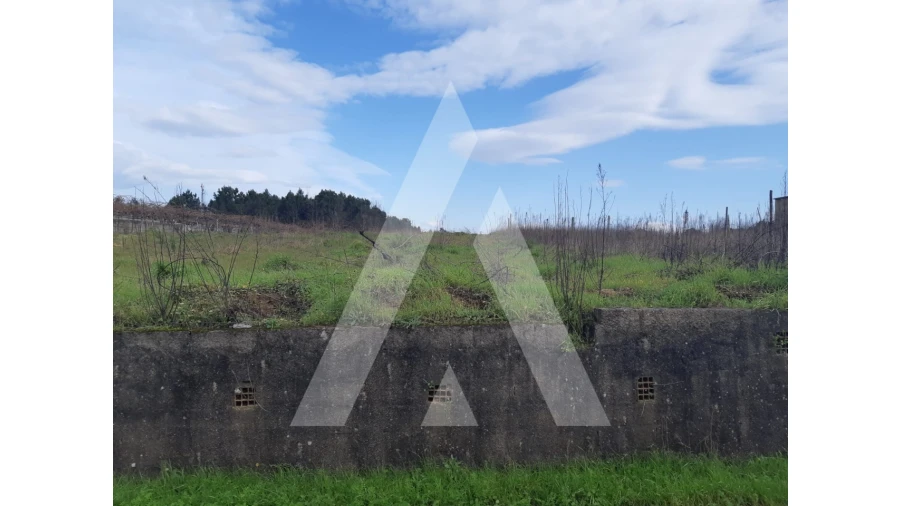 Terreno para Venda em São Lourenço do Bairro Foto 5
