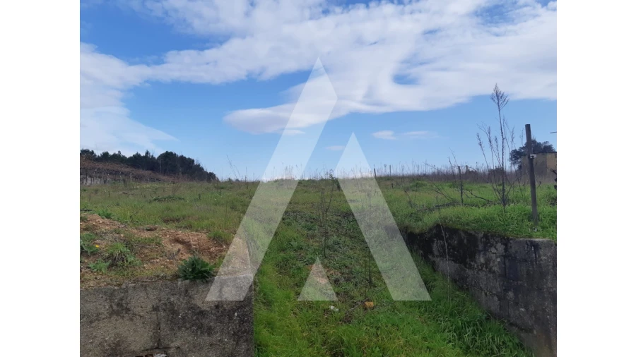 Terreno para Venda em São Lourenço do Bairro Foto 7