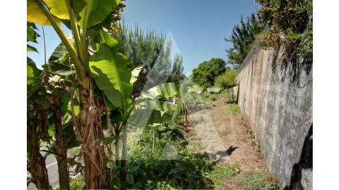 Moradia T6 para Venda em Águeda e Borralha