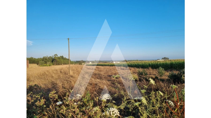 Terreno para Venda em Ouca Foto 2