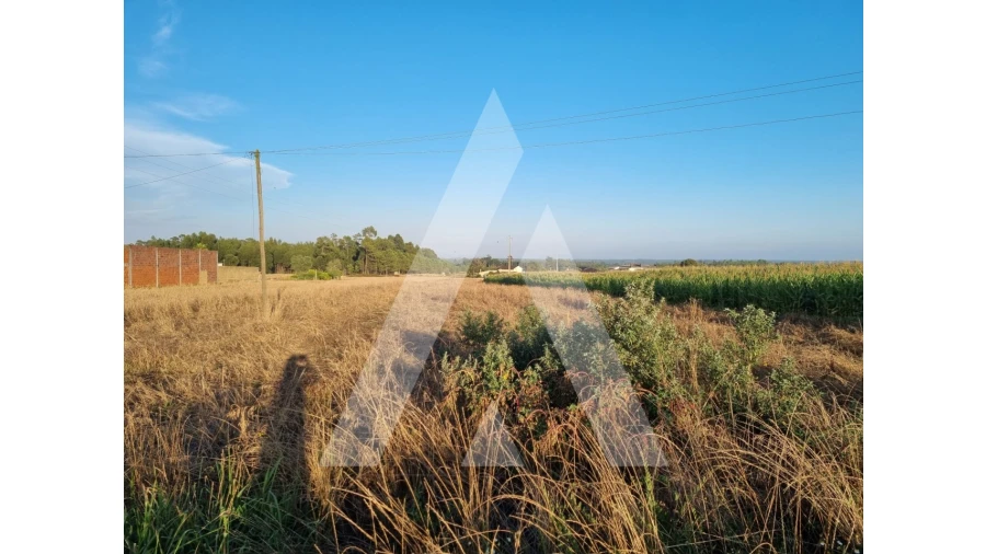 Terreno para Venda em Ouca Foto 3