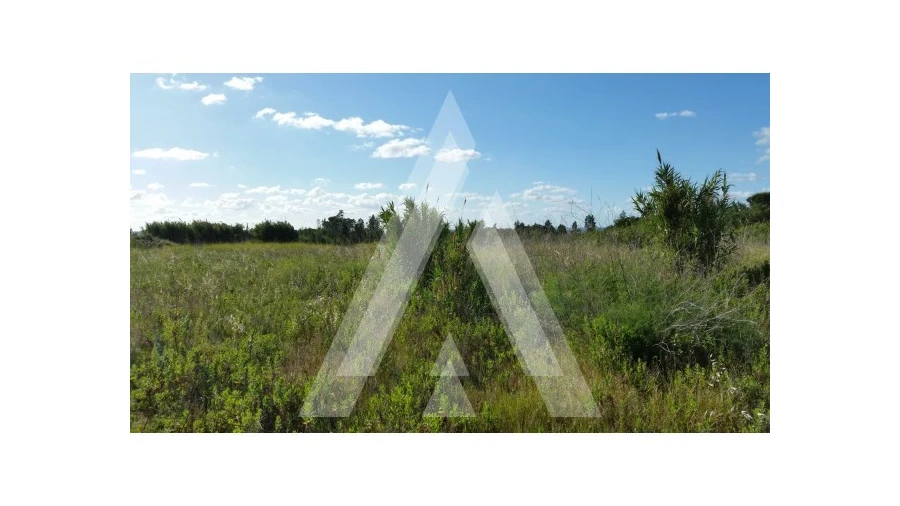 Terreno para Venda em Condeixa-A-Velha e Condeixa-A-Nova Foto 4