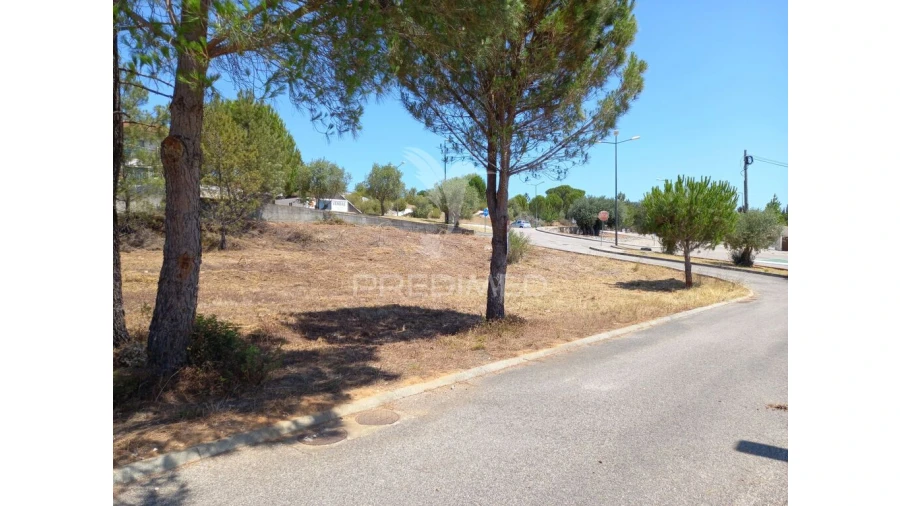 Terreno para Venda em Constancia Foto 7