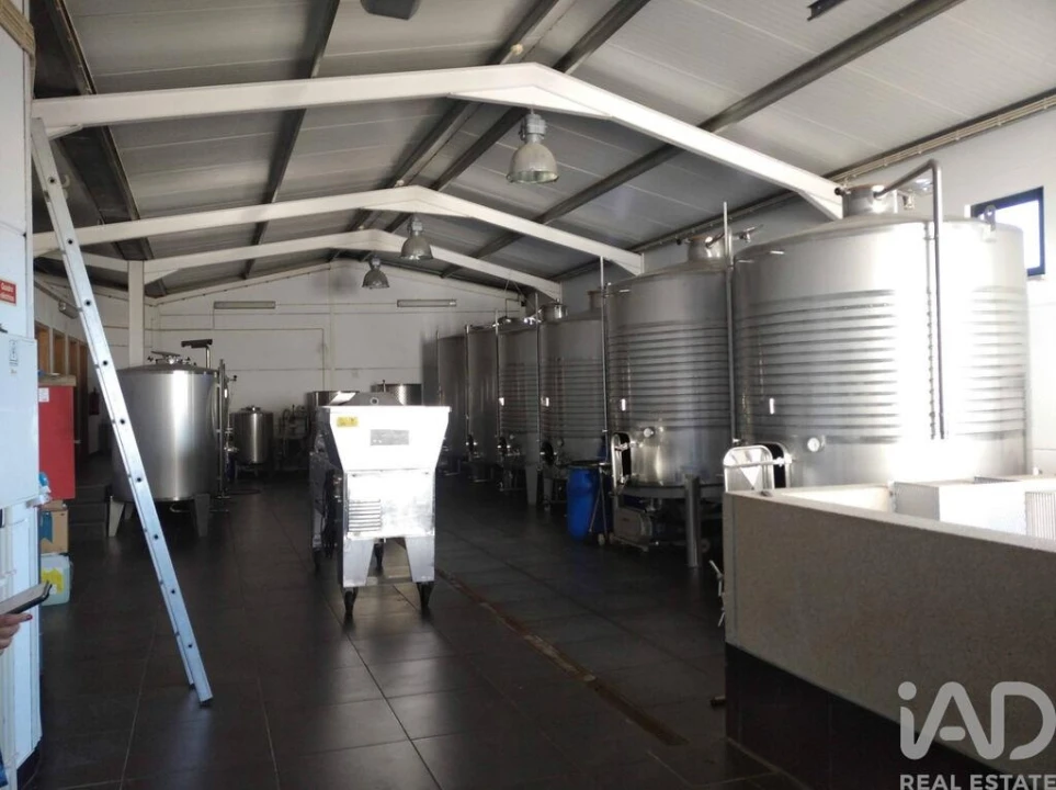 Moradia T9 para Venda em Figueira de Castelo Rodrigo Foto 29