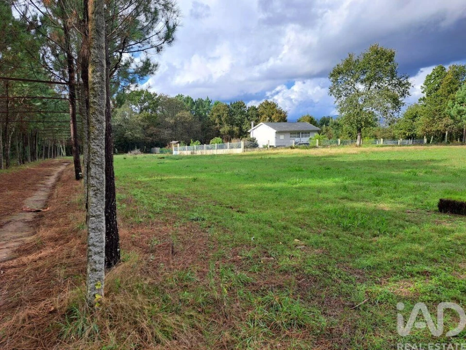 Terreno para Venda em Palmeira Foto 17