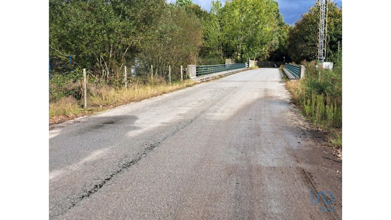 Terreno para Venda em Palmeira Foto 14