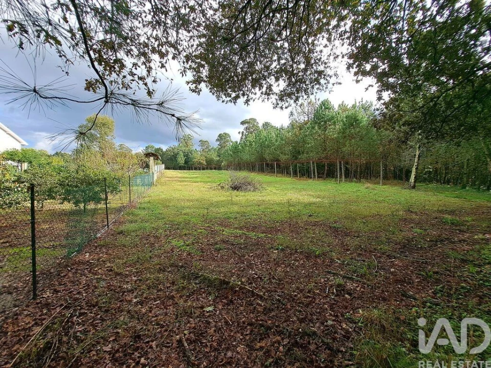 Terreno para Venda em Palmeira Foto 21