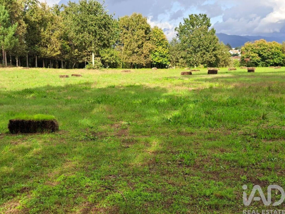 Terreno para Venda em Palmeira Foto 18