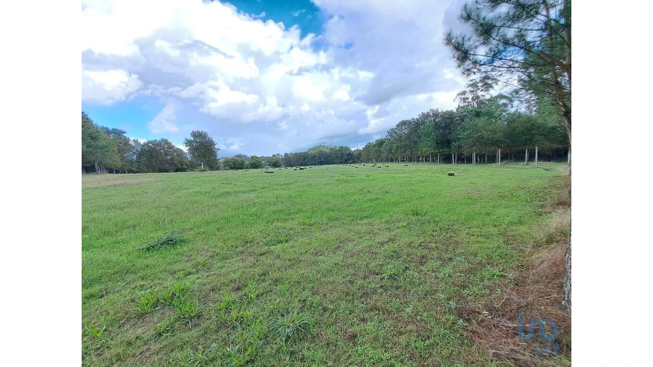 Terreno para Venda em Palmeira Foto 7