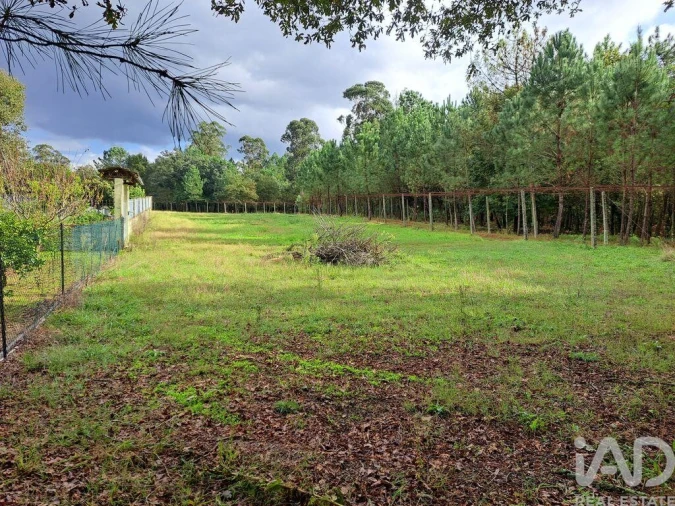 Terreno para Venda em Palmeira Foto 20