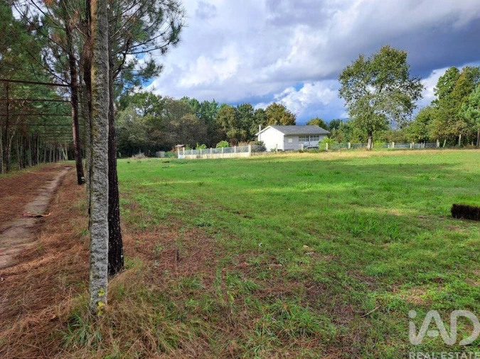 Terreno para Venda em Palmeira Foto 17