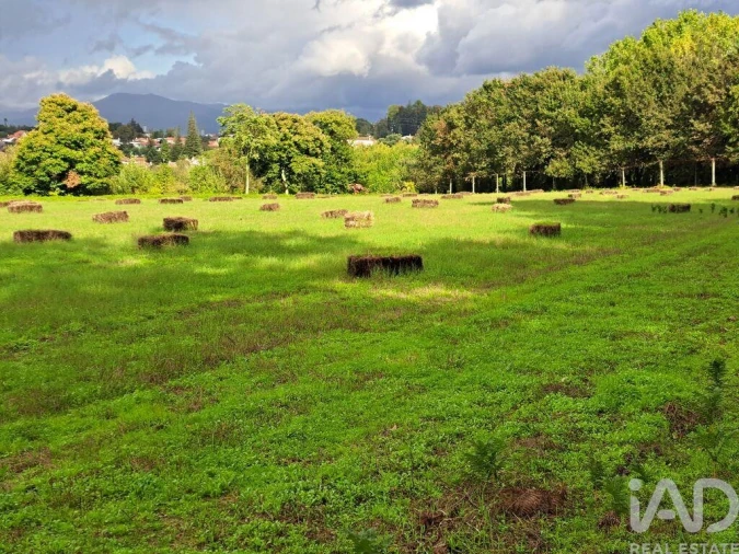 Terreno para Venda em Palmeira Foto 19