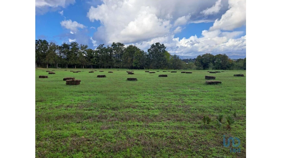 Terreno para Venda em Palmeira Foto 2