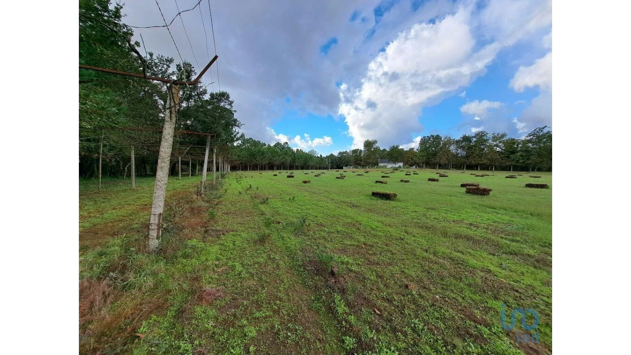 Terreno para Venda em Palmeira Foto 3