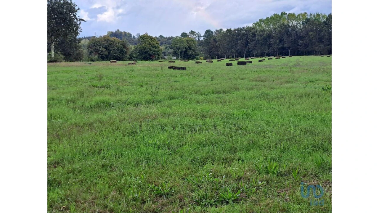 Terreno para Venda em Palmeira Foto 5