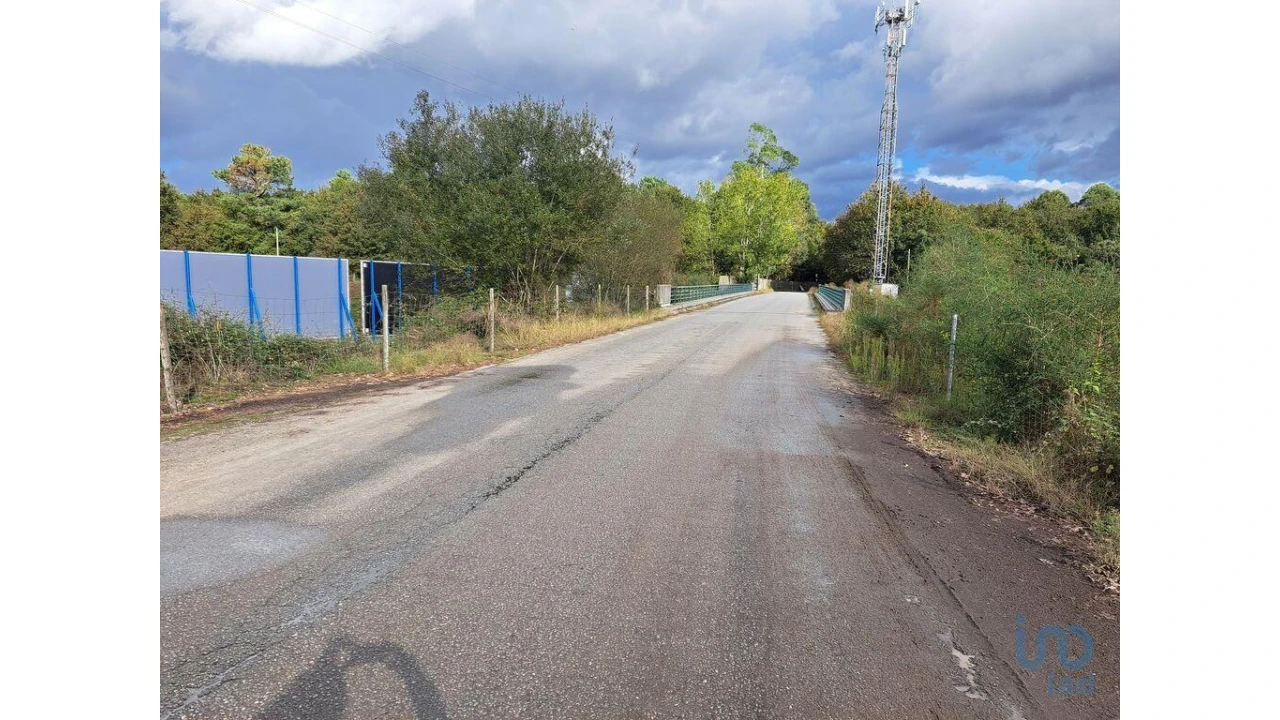 Terreno para Venda em Palmeira Foto 6