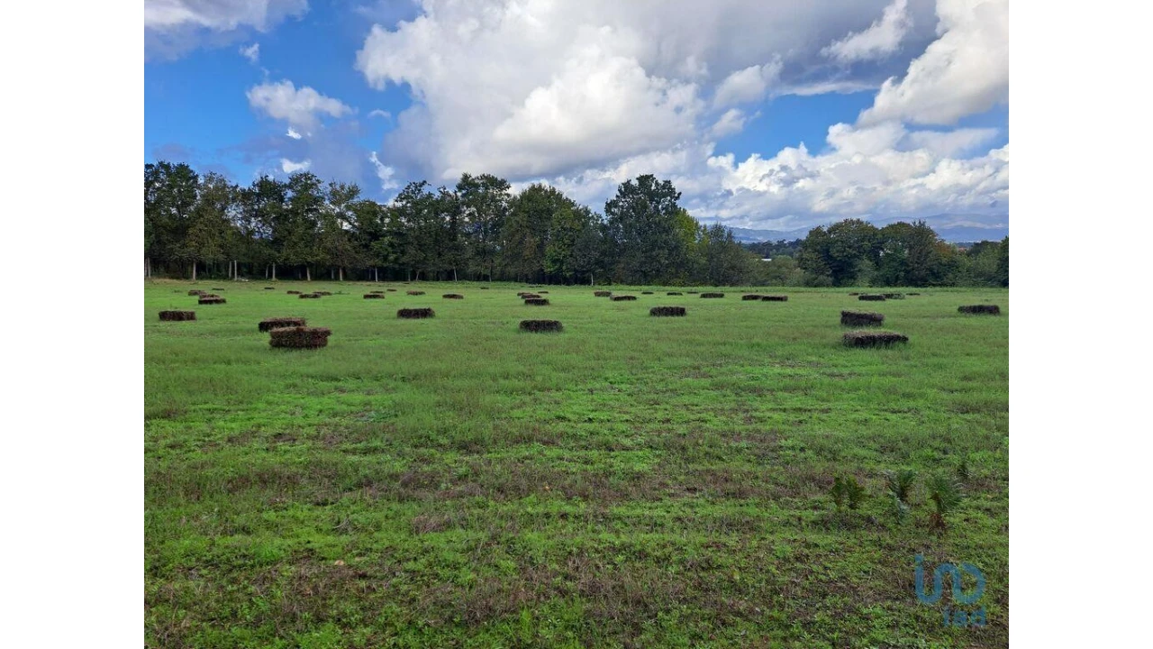 Terreno para Venda em Palmeira Foto 2