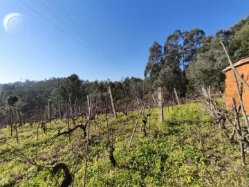 Terreno para Venda em Torres do Mondego