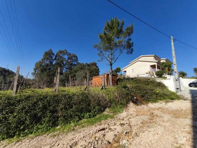 Terreno para Venda em Torres do Mondego Foto 2