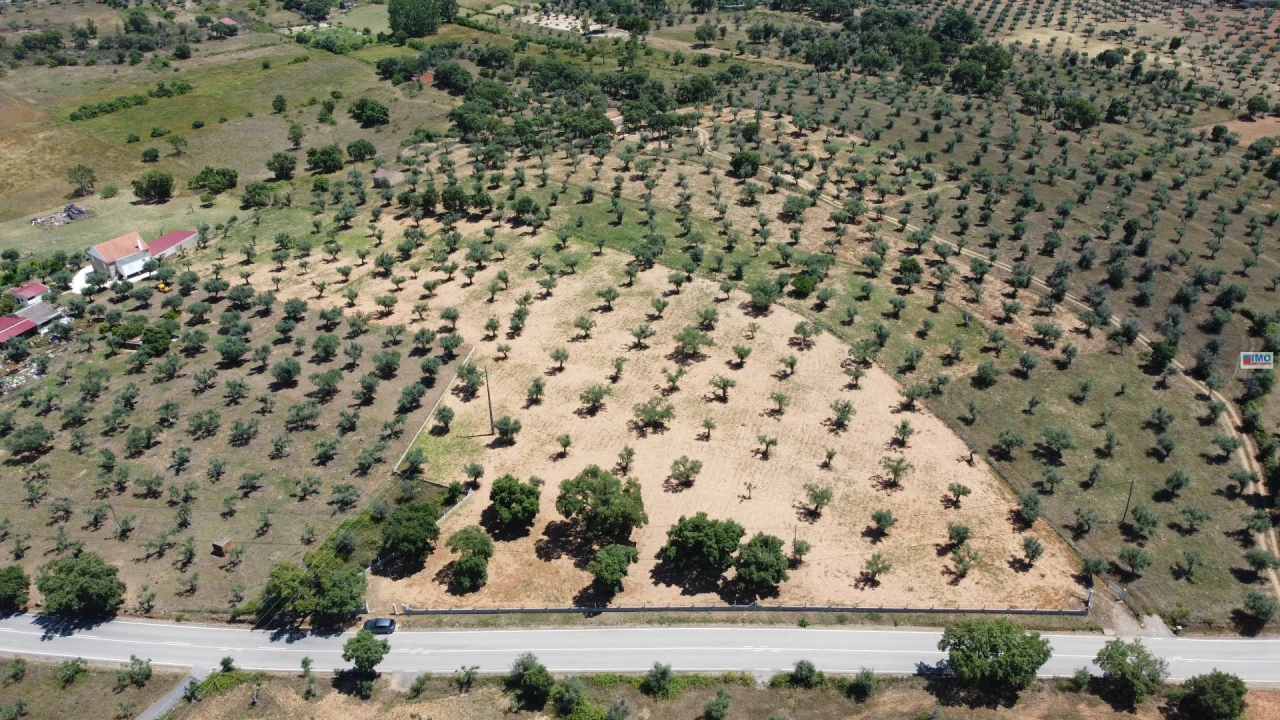 Terreno Agricola ou Rústico para Venda em Freixial e Juncal do Campo Foto 1