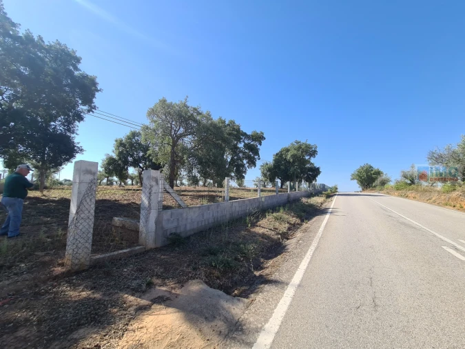 Terreno Agricola ou Rústico para Venda em Freixial e Juncal do Campo Foto 5