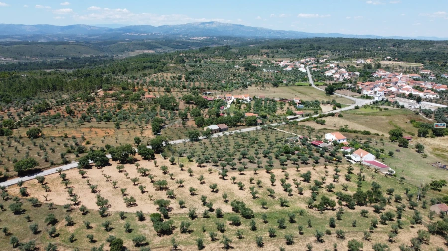 Terreno Agricola ou Rústico para Venda em Freixial e Juncal do Campo Foto 3