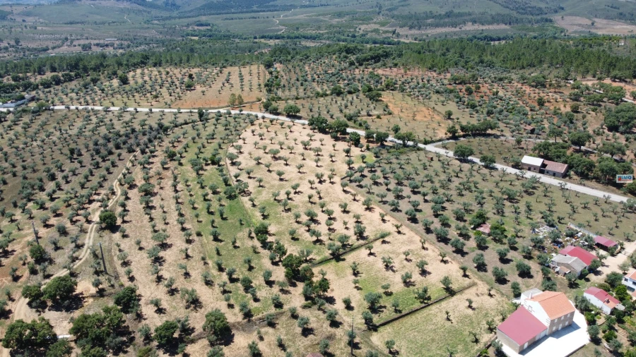 Terreno Agricola ou Rústico para Venda em Freixial e Juncal do Campo Foto 2