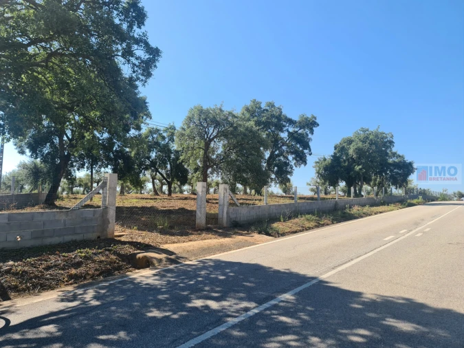 Terreno Agricola ou Rústico para Venda em Freixial e Juncal do Campo Foto 4