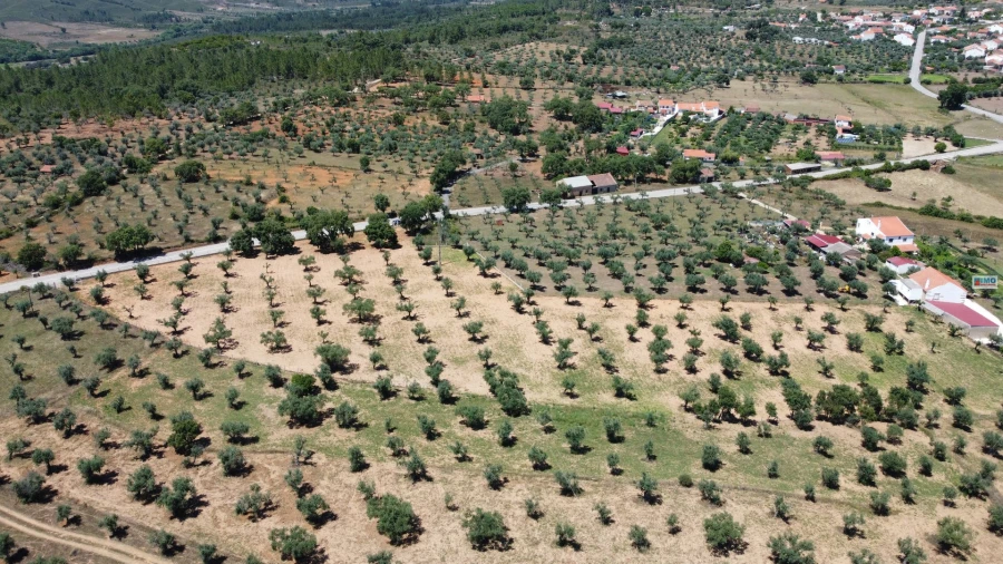 Terreno Agricola ou Rústico para Venda em Freixial e Juncal do Campo Foto 21
