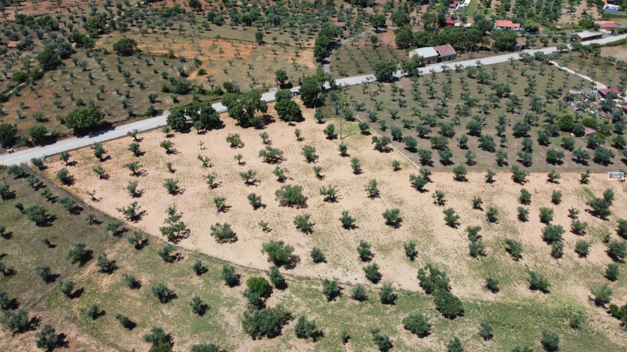 Terreno Agricola ou Rústico para Venda em Freixial e Juncal do Campo Foto 20